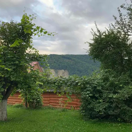 приватна яблуневий сад Яремча