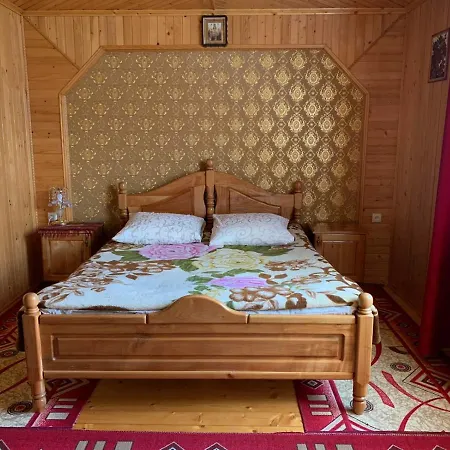 приватна яблуневий сад * Яремча