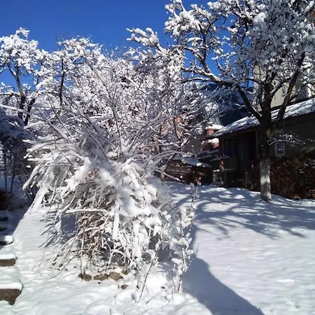 приватна яблуневий сад 1