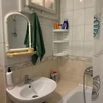 ゲストハウス приватна яблуневий сад 1 ヤレムチャ