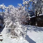 приватна яблуневий сад 1